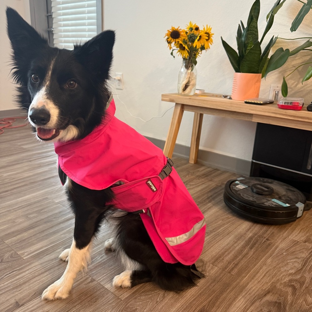 Pomppa rain coat and fleece in PINK